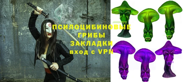 тгк Пересвет